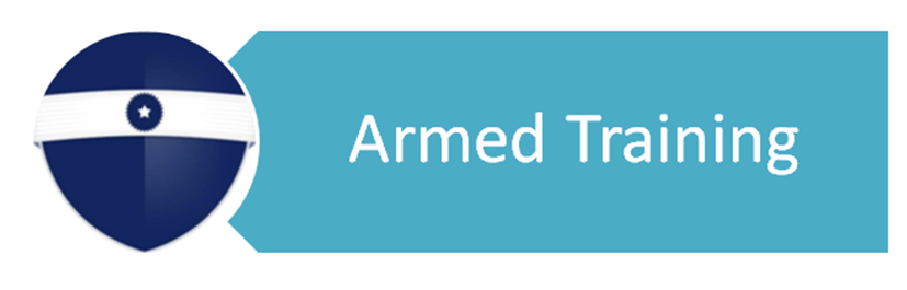 What is armed security guard training?